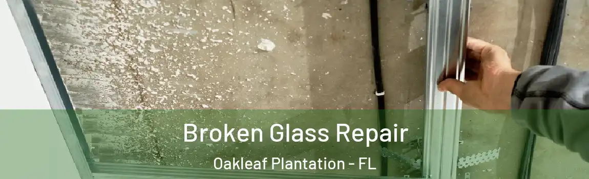  Broken Glass Repair Oakleaf Plantation - FL