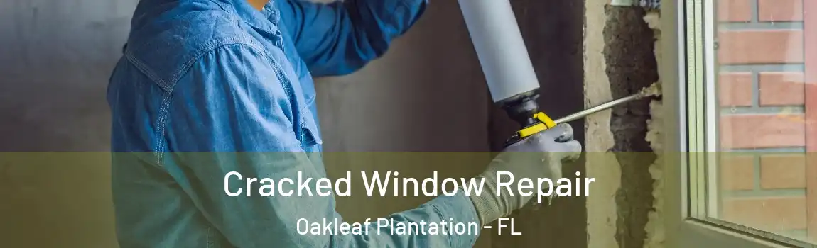  Cracked Window Repair Oakleaf Plantation - FL