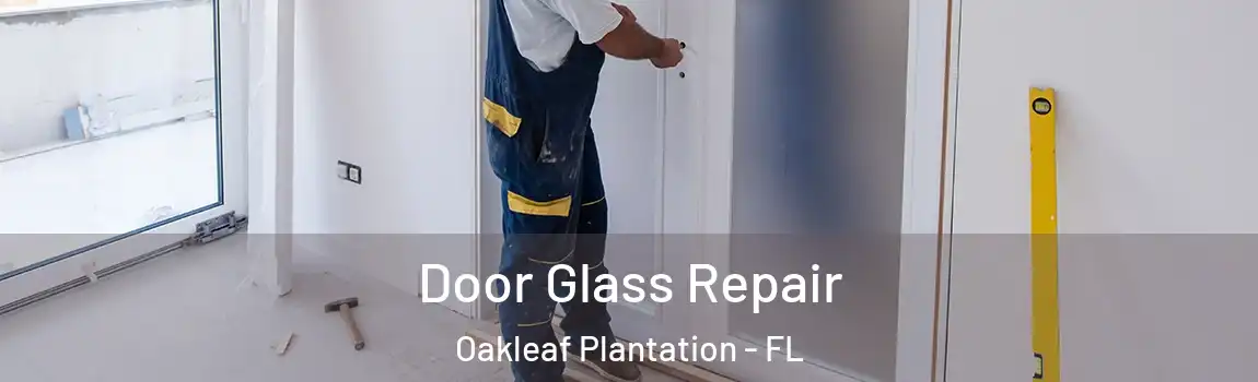  Door Glass Repair Oakleaf Plantation - FL