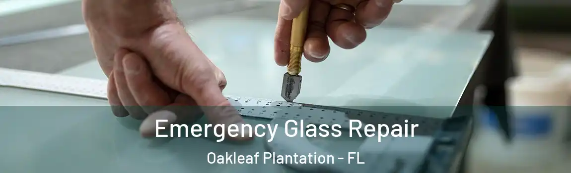 Emergency Glass Repair Oakleaf Plantation - FL