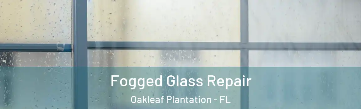  Fogged Glass Repair Oakleaf Plantation - FL
