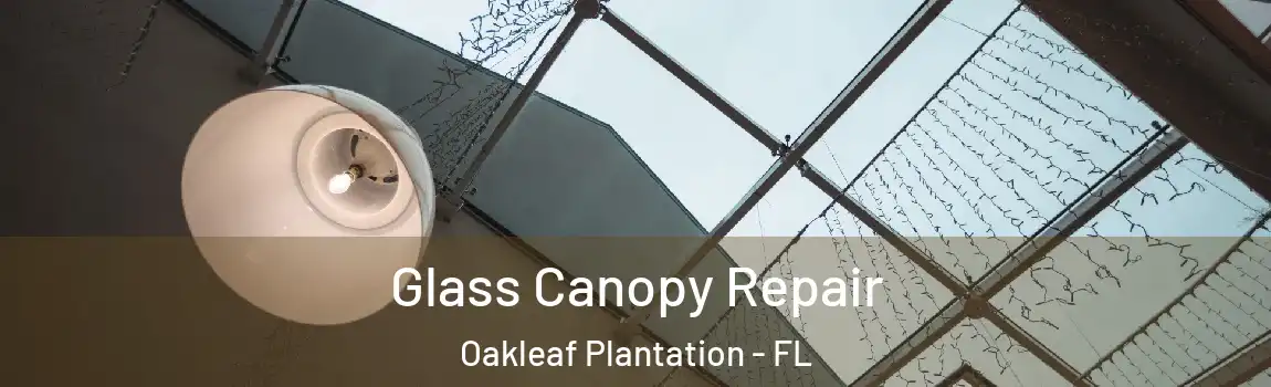  Glass Canopy Repair Oakleaf Plantation - FL