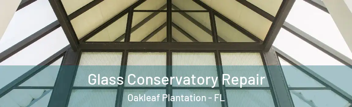  Glass Conservatory Repair Oakleaf Plantation - FL