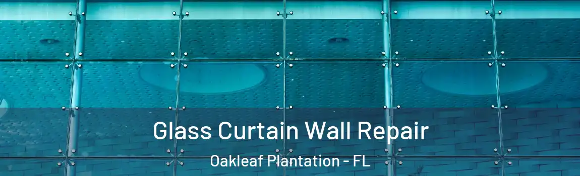  Glass Curtain Wall Repair Oakleaf Plantation - FL