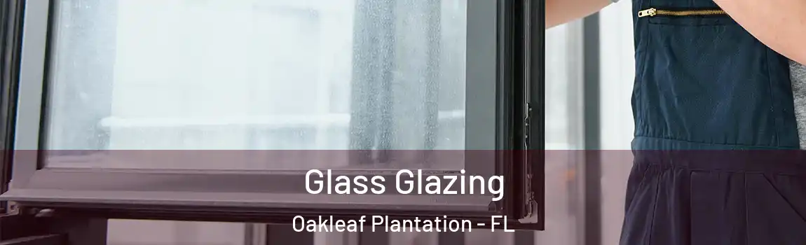  Glass Glazing Oakleaf Plantation - FL