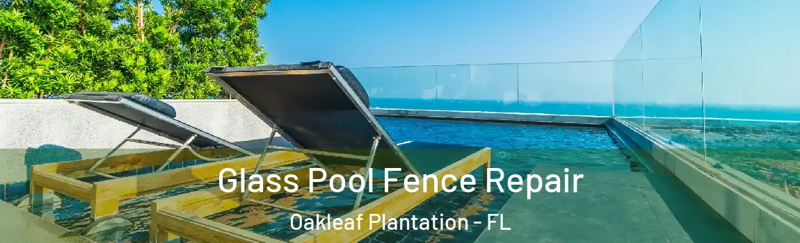  Glass Pool Fence Repair Oakleaf Plantation - FL