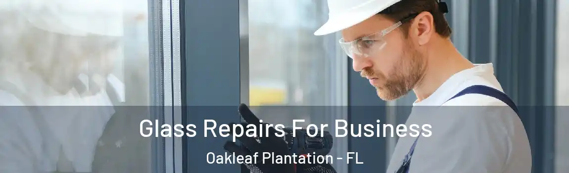  Glass Repairs For Business Oakleaf Plantation - FL