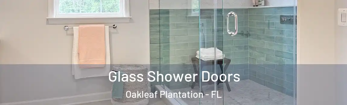  Glass Shower Doors Oakleaf Plantation - FL