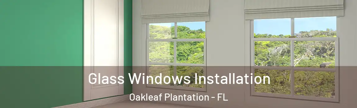  Glass Windows Installation Oakleaf Plantation - FL