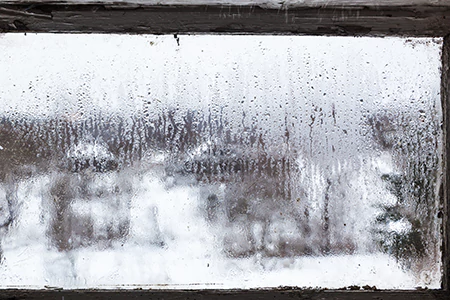 Defogging Double Pane Windows in Oakleaf Plantation