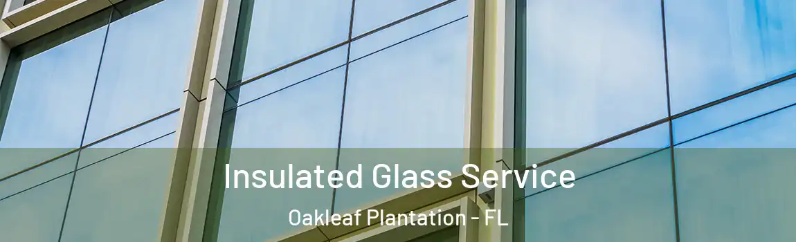  Insulated Glass Service Oakleaf Plantation - FL