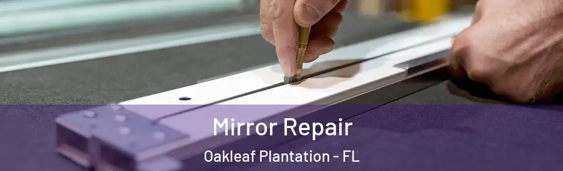  Mirror Repair Oakleaf Plantation - FL