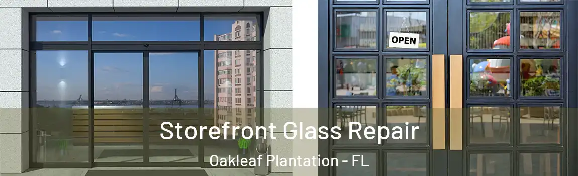  Storefront Glass Repair Oakleaf Plantation - FL