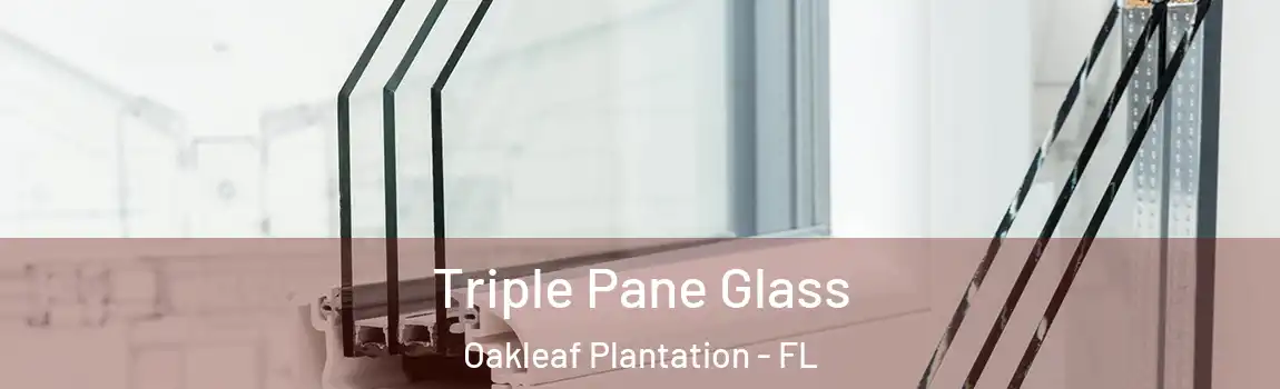  Triple Pane Glass Oakleaf Plantation - FL