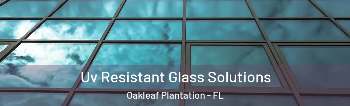  Uv Resistant Glass Solutions Oakleaf Plantation - FL