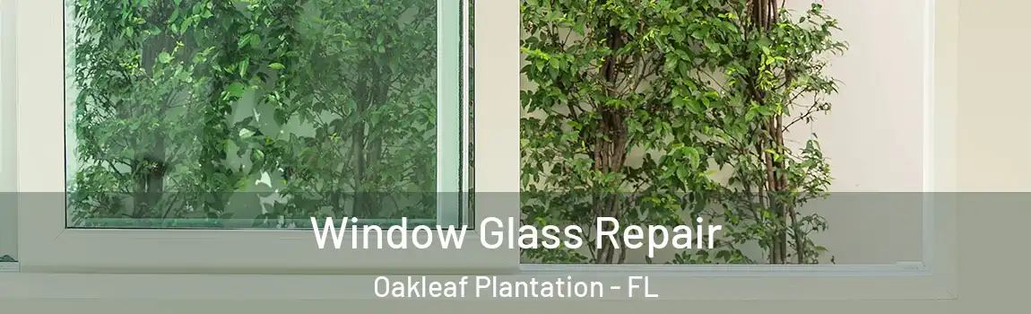  Window Glass Repair Oakleaf Plantation - FL