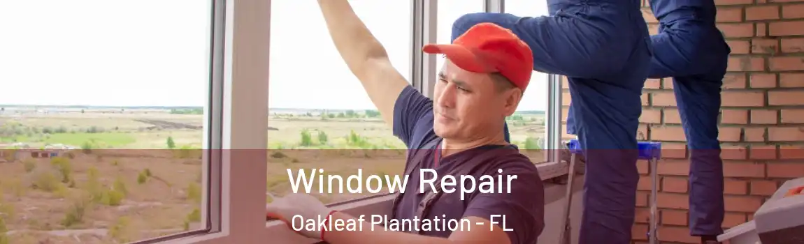  Window Repair Oakleaf Plantation - FL