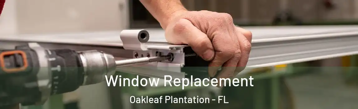  Window Replacement Oakleaf Plantation - FL