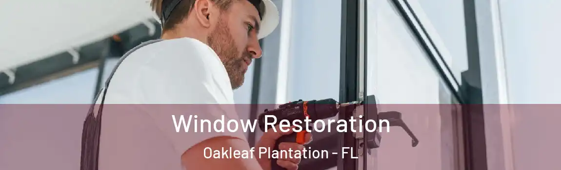  Window Restoration Oakleaf Plantation - FL