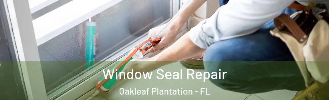  Window Seal Repair Oakleaf Plantation - FL